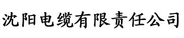 法国复古性经典xxxx电缆厂logo